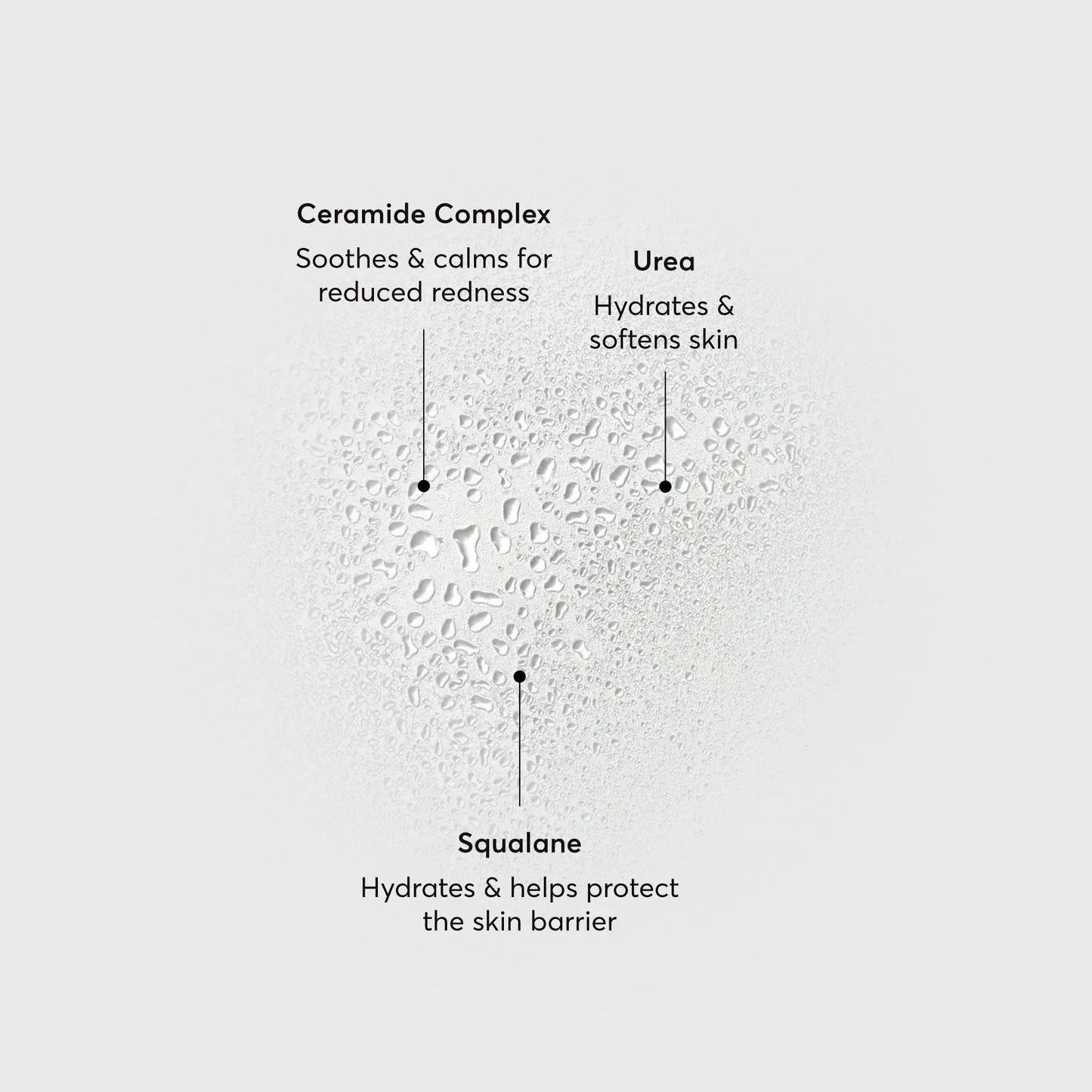 barrier-bounce-bi-phase-mist-l1 NATR-10167-Alt-Images-Barrier-Bounce-Bi-Phase-Toner-Mist_01.webp