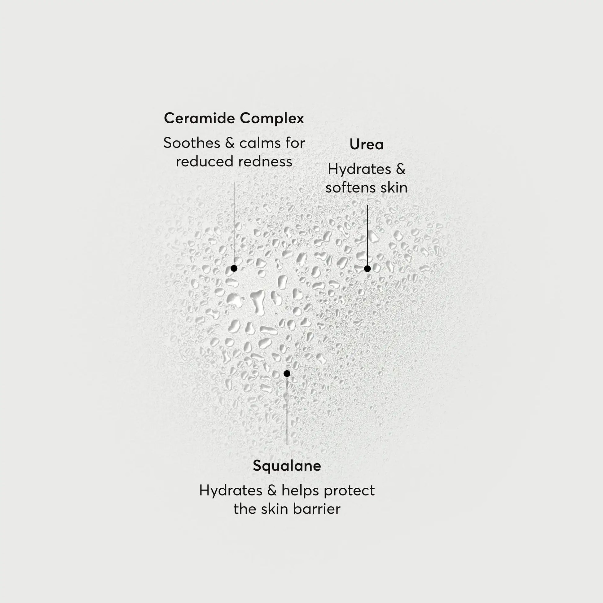barrier-bounce-bi-phase-mist-l1 NATR-10167-Alt-Images-Barrier-Bounce-Bi-Phase-Toner-Mist_01.webp